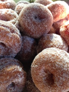 Paul Bunyan donuts 4